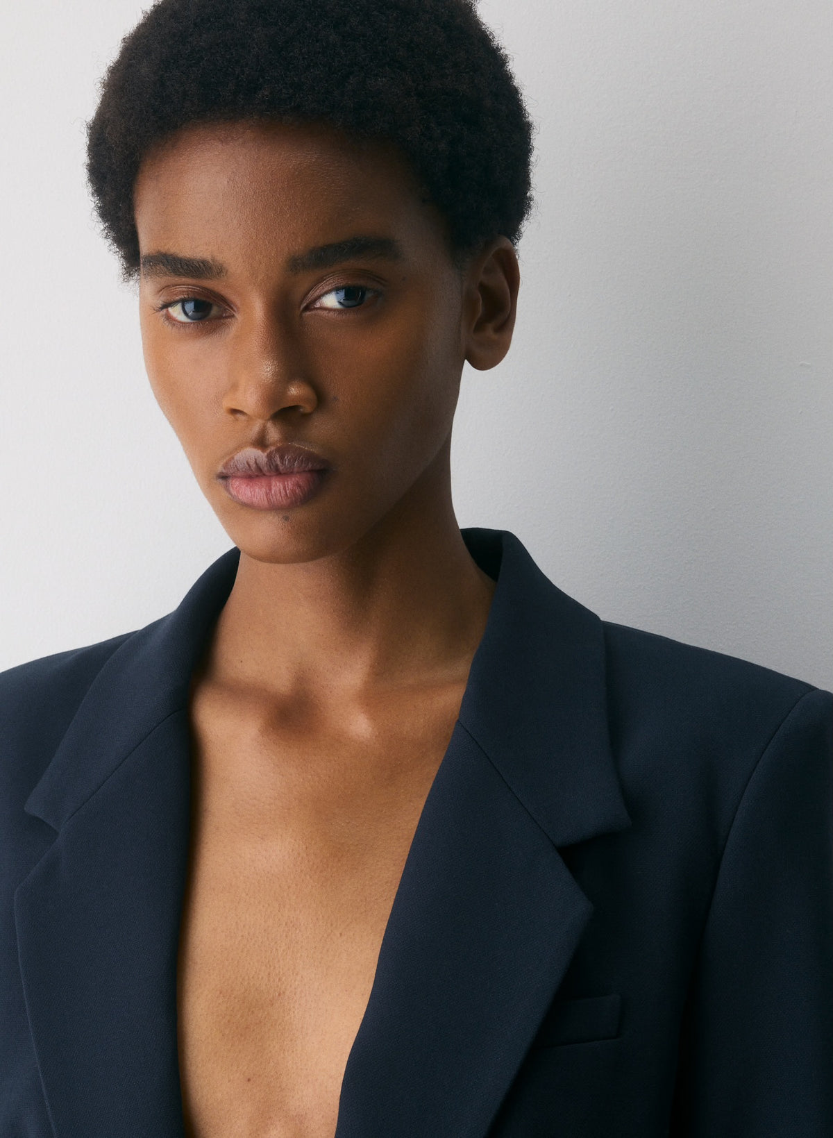 Aritzia Dark Navy Producer Blazer - Eversential, SIZE 2