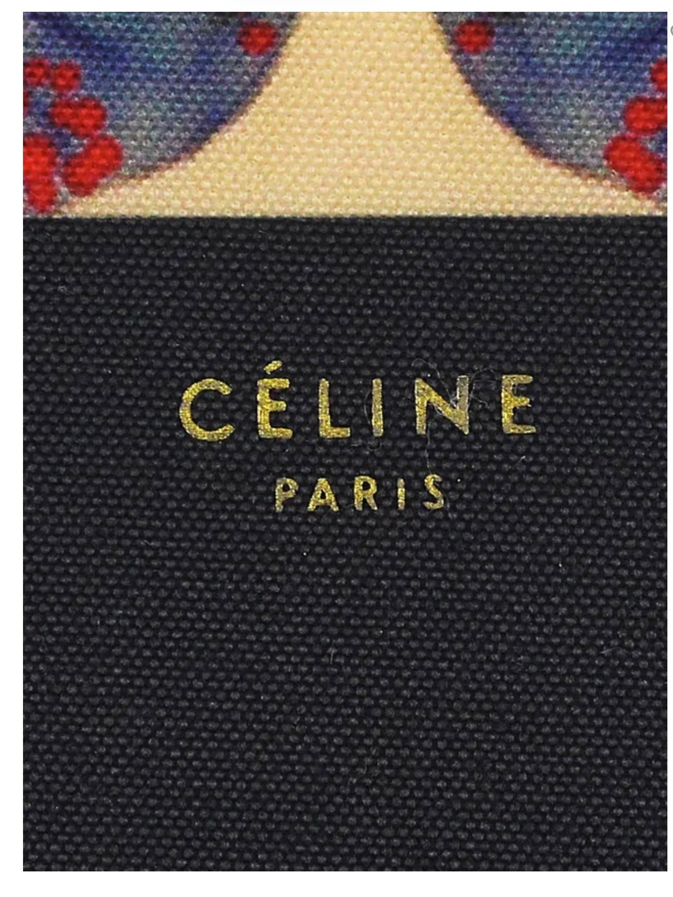 CELINE Printed Canvas Born Free Tote Bag